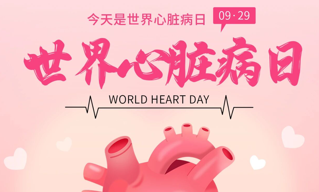2025世界心脏日：Don't miss a beat律动不息，创新不止