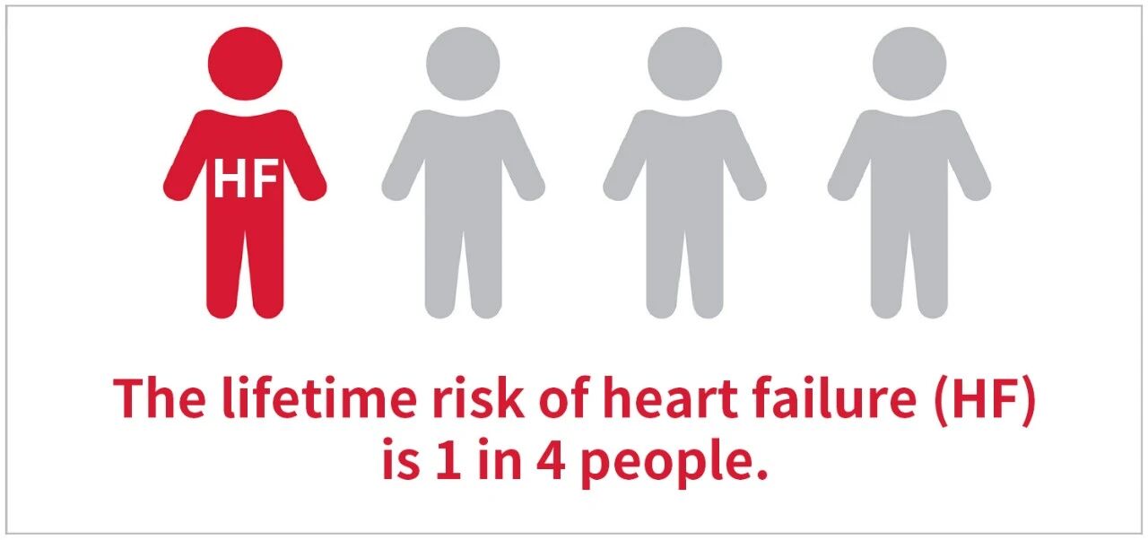 新品上市 | 心衰诊断双保障——聚焦心衰精准诊断，BC贷从未止步！